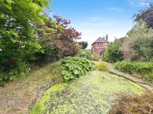 Pond- click for photo gallery